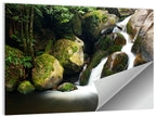Rainforest Waterfall with Moss Covered Boulders Wall Art