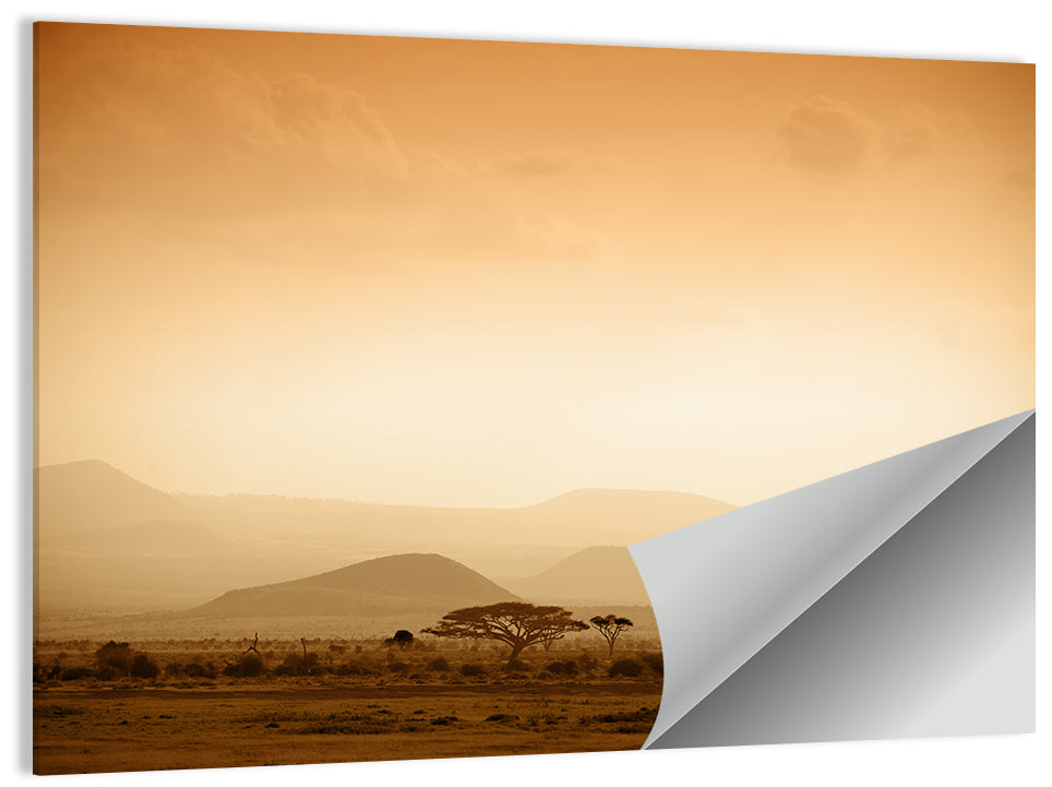 Hazy Savannah at Dawn Wall Art