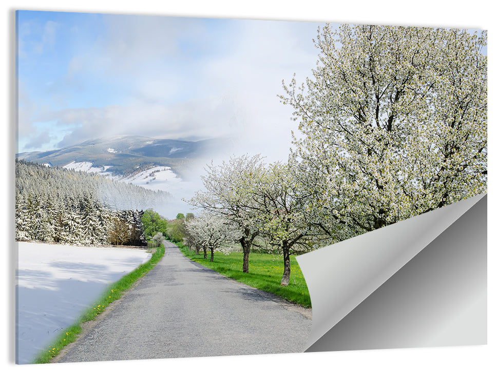 Season Change Road to Snowy Mountain Wall Art