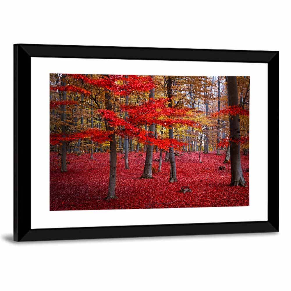 Crimson Autumn Forest Wall Art