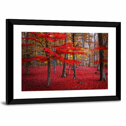 Crimson Autumn Forest Wall Art