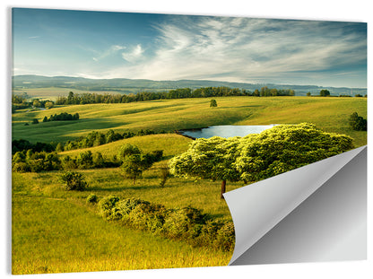Rolling Hills with Pond Wall Art