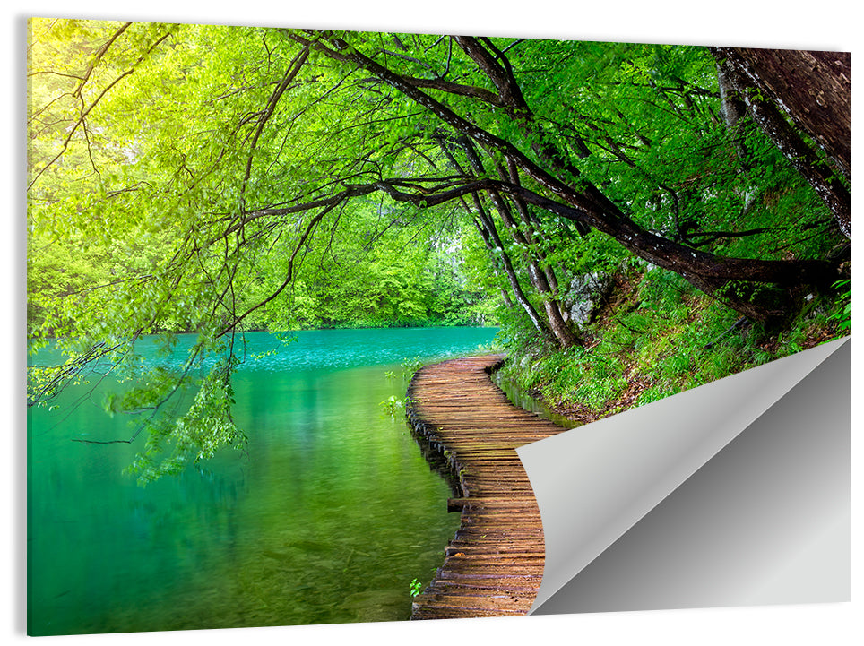 Plitvice Lakes Boardwalk Wall Art, poster print, landscape