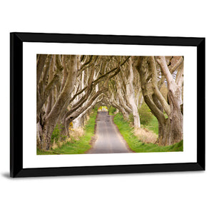 The Dark Hedges Wall Art