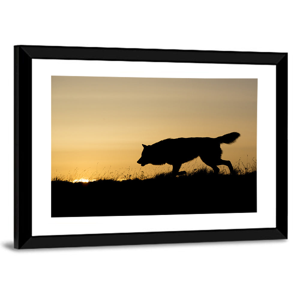 Wolf at Golden Horizon Wall Art