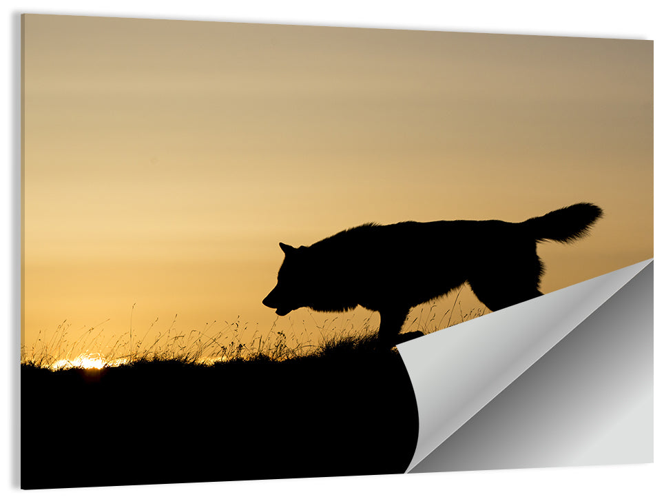 Wolf at Golden Horizon Wall Art