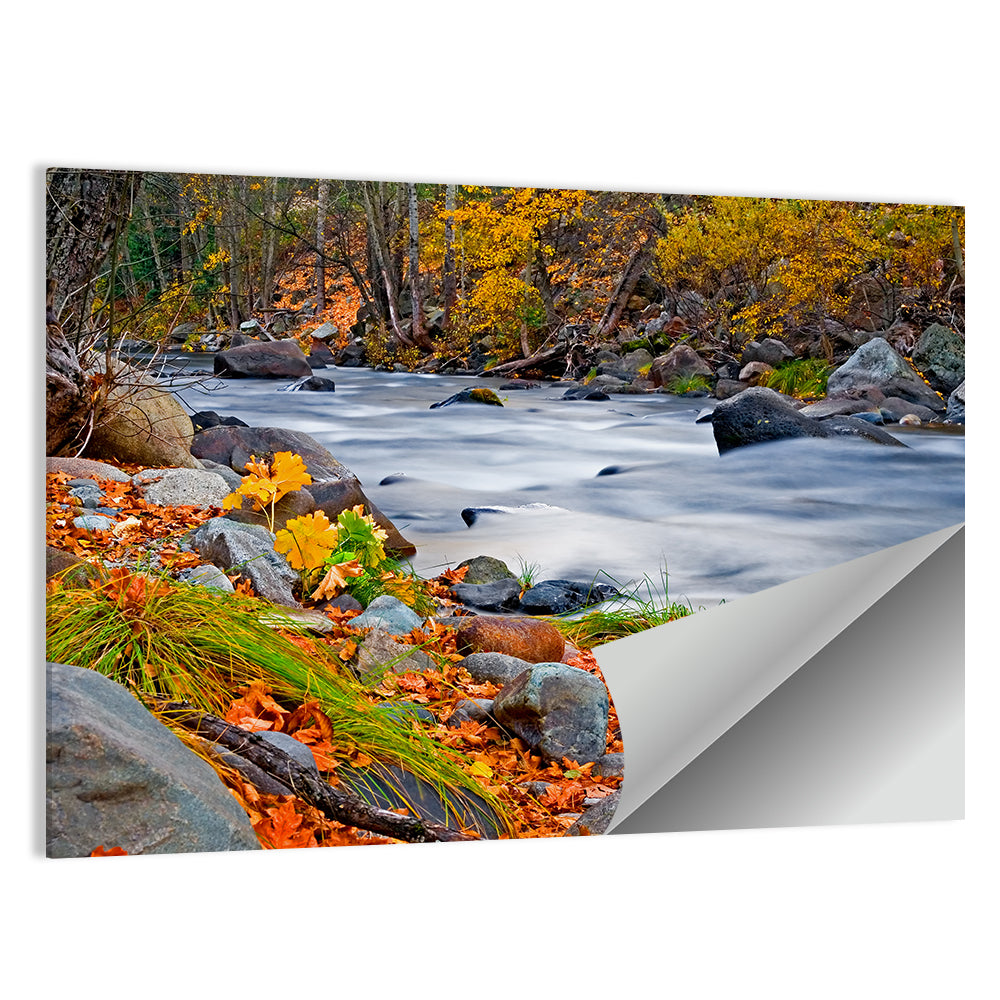 Golden Autumn Forest Creek Wall Art