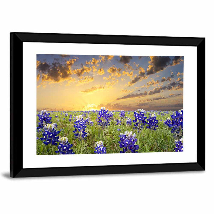 Bluebonnet Field at Sunset Wall Art as a framed print