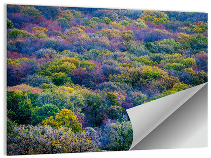 Autumn Canopy Forest with Cabin Roof Wall Art