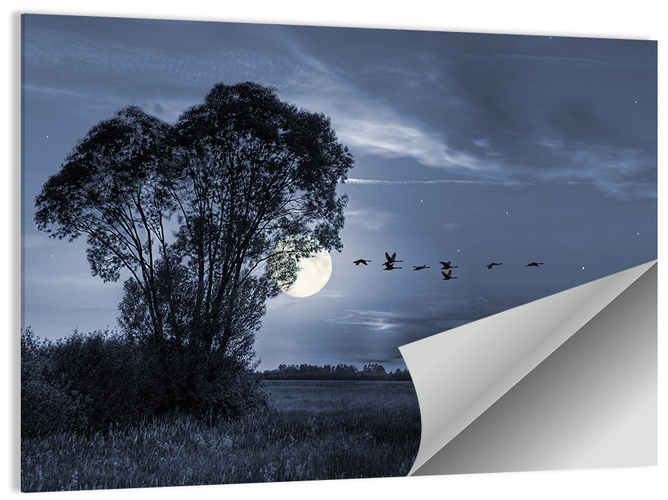 Moonlit Birds Over Quiet Field Wall Art