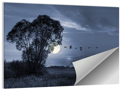 Moonlit Birds Over Quiet Field Wall Art