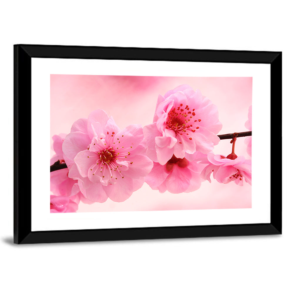 Cherry Blossom Branch Wall Art
