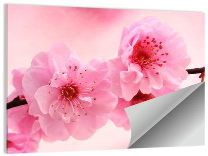 Cherry Blossom Branch Wall Art