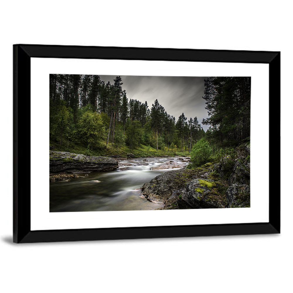 Mossy Forest Stream Wall Art