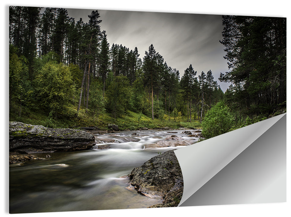 Mossy Forest Stream Wall Art
