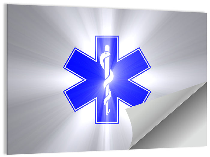 Star of Life with Rod of Asclepius Wall Art as a poster print