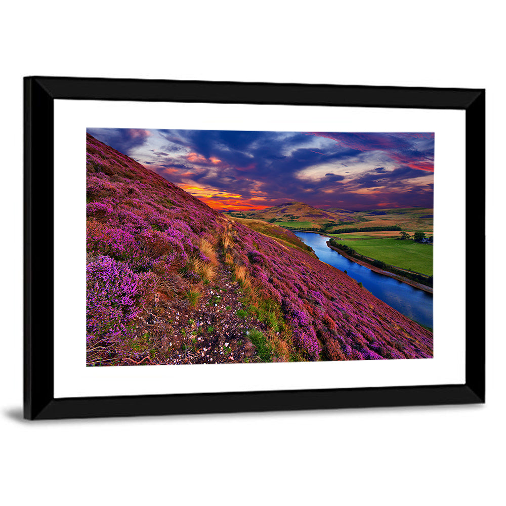 Pentland Hills Heather, Edinburgh Wall Art