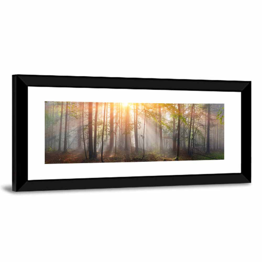 Carpathian Morning Forest Wall Art