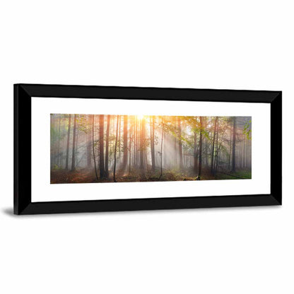 Carpathian Morning Forest Wall Art