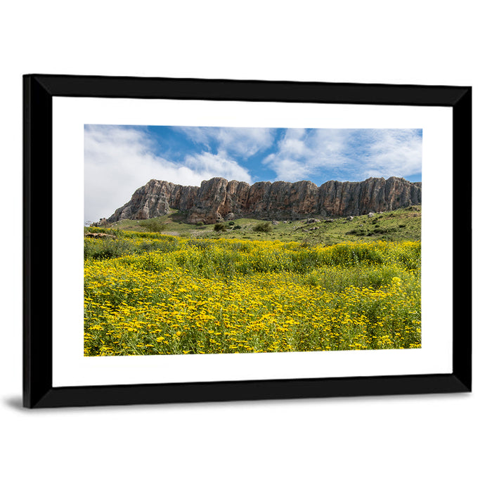 Mount Arbel Wildflower Meadow Wall Art as a framed print
