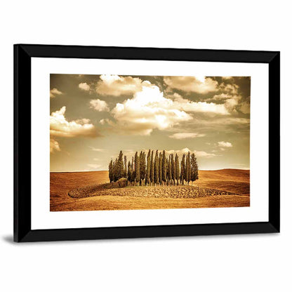 Tuscany Cypress Field Wall Art