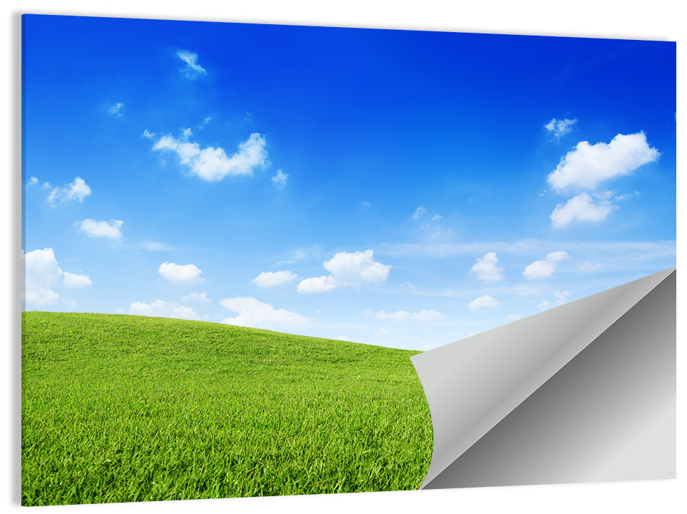 Rolling Green Meadow Under Blue Sky Wall Art