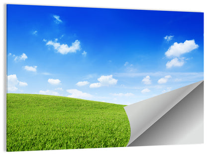 Rolling Green Meadow Under Blue Sky Wall Art