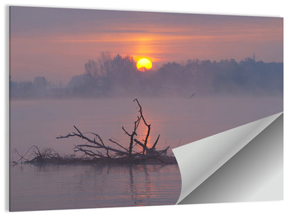 Misty Lake Sunrise with Fallen Tree Wall Art