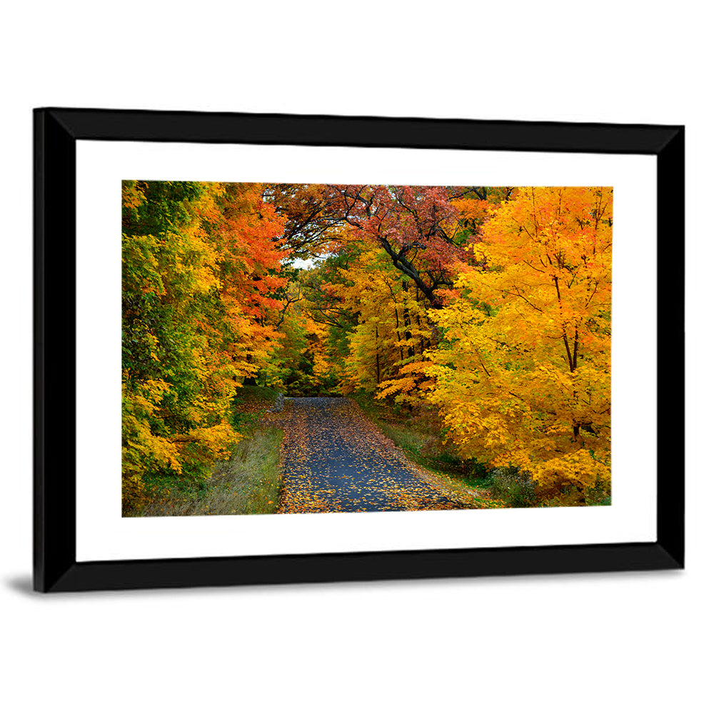 Autumn Road Through Wisconsin Park Wall Art
