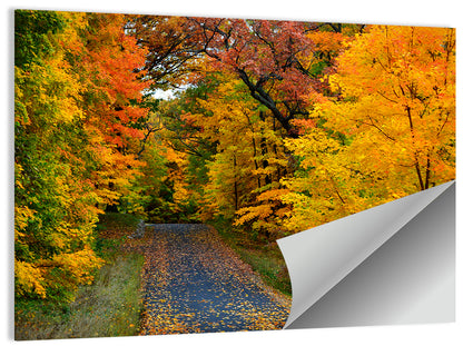 Autumn Road Through Wisconsin Park Wall Art
