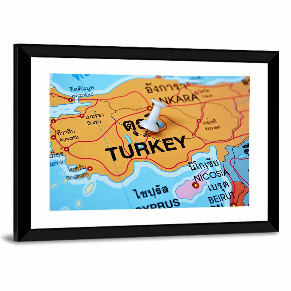 Turkey Map with Ankara Pin Wall Art