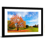Orange Maple on Rolling Hill Wall Art
