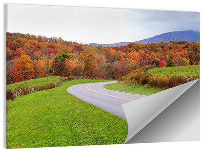Curving Road Through Autumn Meadow Wall Art