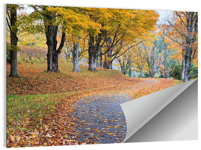 Autumn Road with Golden Canopy Wall Art as a poster print