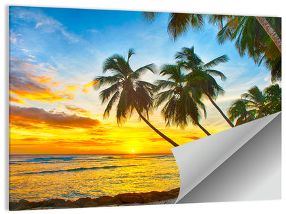 Palm Island Sunset Wall Art