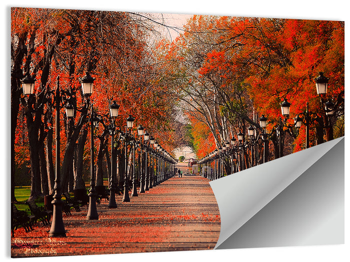 Autumn Park Path with Vintage Lampposts Wall Art as a poster print