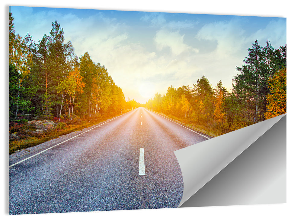 Sunlit Autumn Forest Road Wall Art