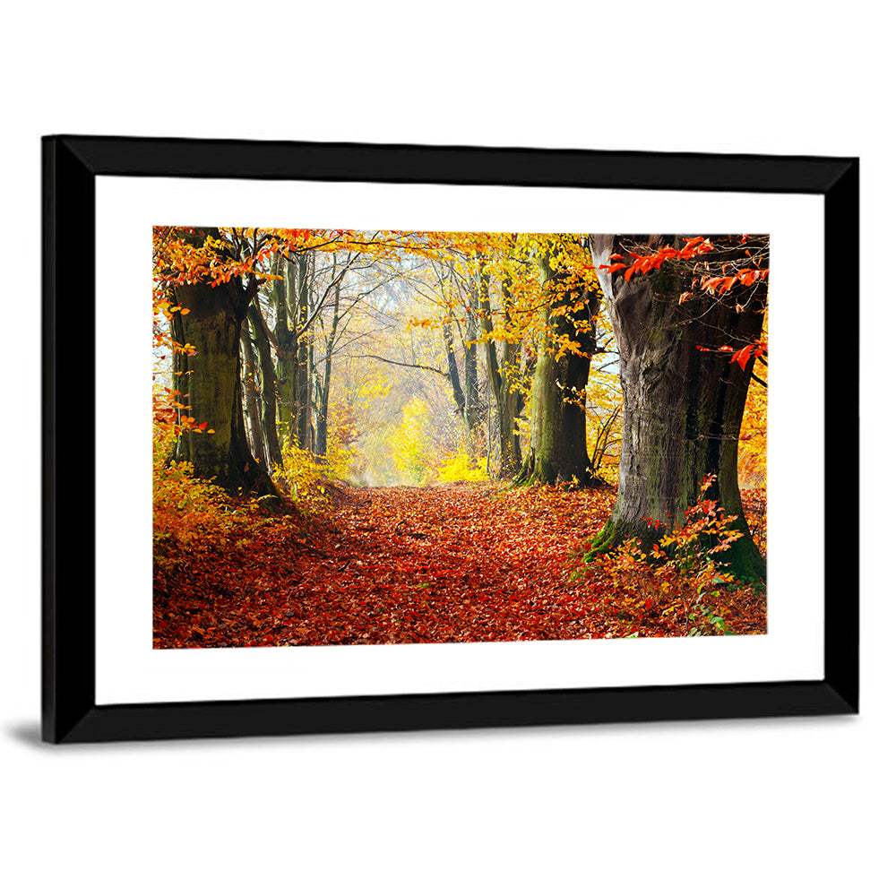 Misty Autumn Forest Path Wall Art
