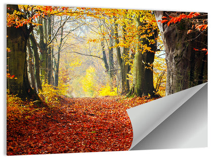 Misty Autumn Forest Path Wall Art