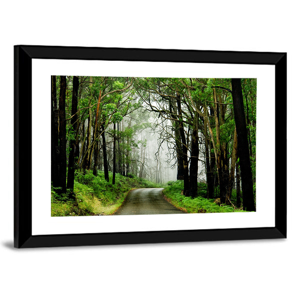 Misty Eucalyptus Road Wall Art