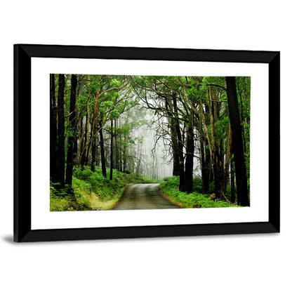 Misty Eucalyptus Road Wall Art