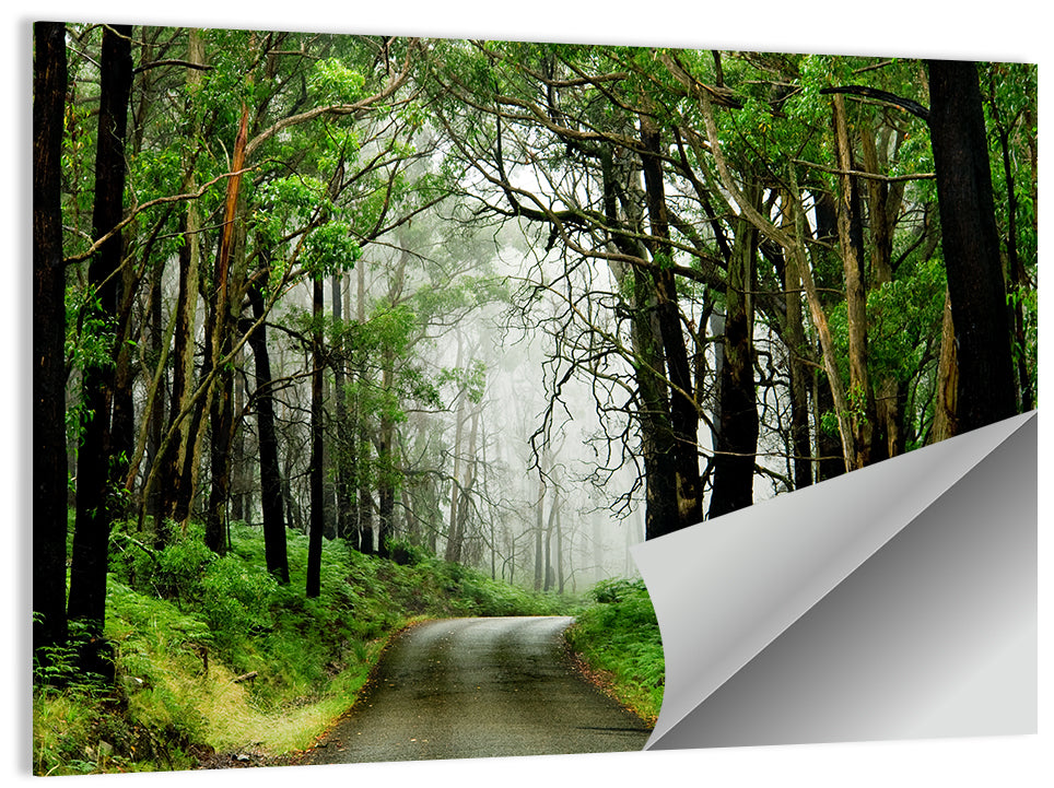 Misty Eucalyptus Road Wall Art
