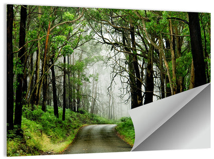Misty Eucalyptus Road Wall Art