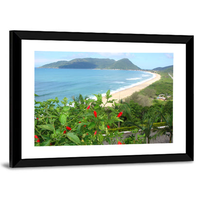 Armacao Florianopolis Wall Art