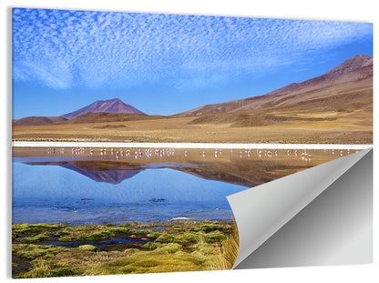Red Lagoon Flamingo Reflection Wall Art