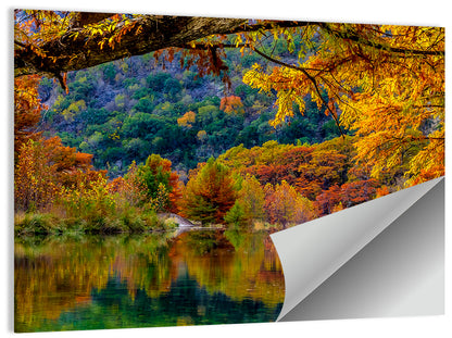 Frio River Autumn Reflection Wall Art