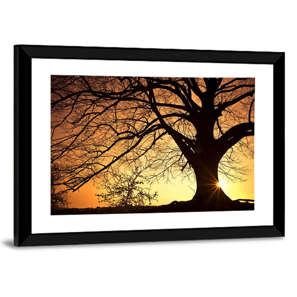 Willow Tree Sunset Wall Art