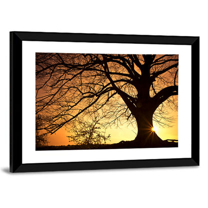 Willow Tree Sunset Wall Art