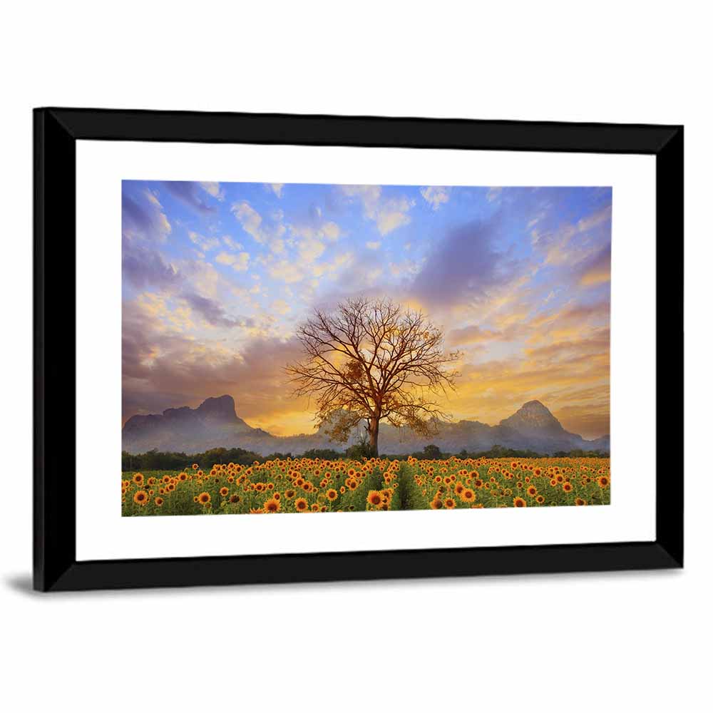 Sunflower Field at Sunset Wall Art