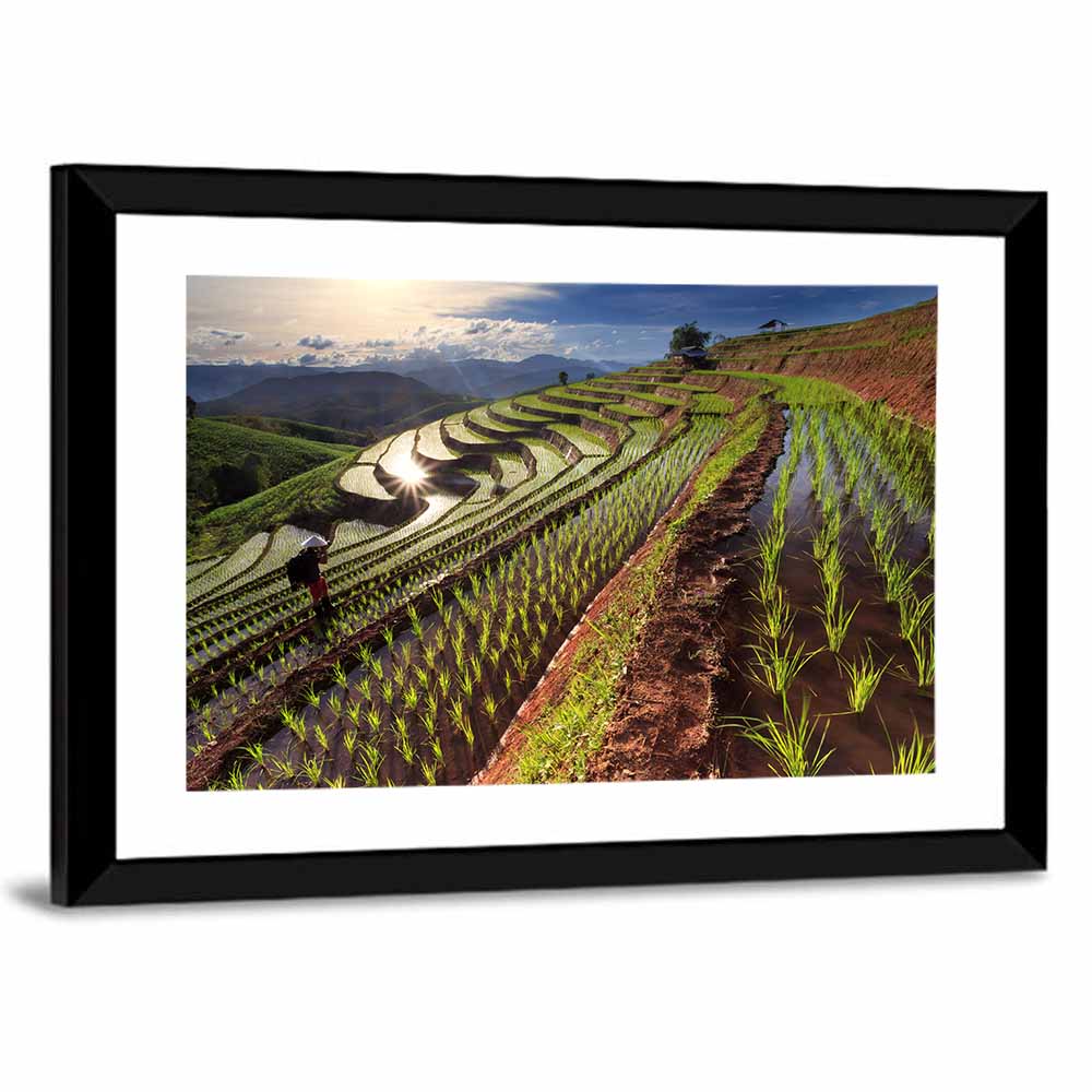 Chiang Mai Rice Terraces at Sunset Wall Art